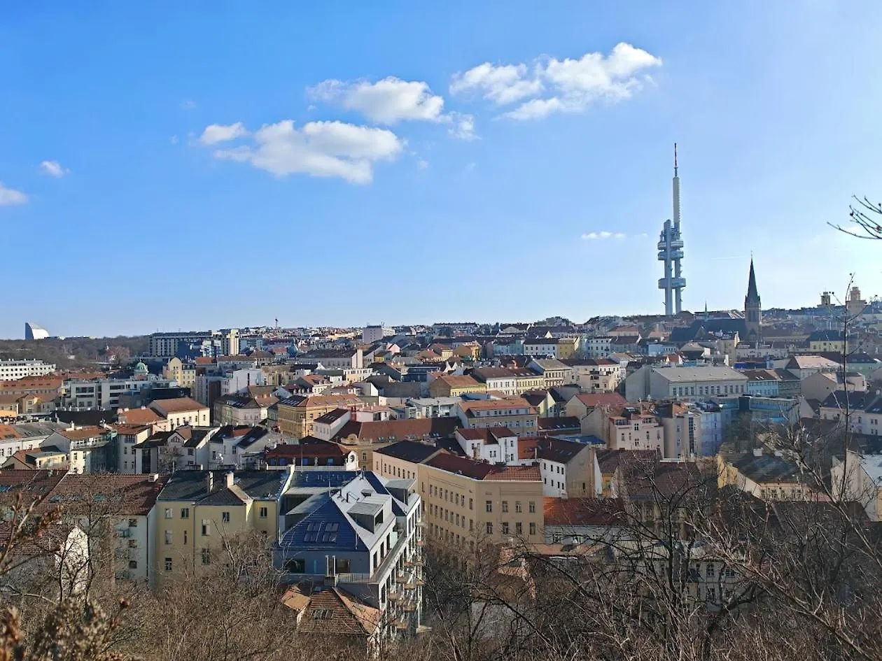 Flat In Zizkov -102- Apartment Prague